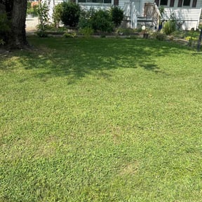 lawn care services by Brothers Martinez reviewed on March 27, 2024