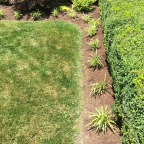 Flower Bed Weeding by King James lawncare reviewed on August 18, 2025