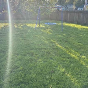 turf care by Pines landscaping reviewed on January 1, 2025