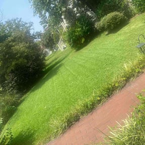 lawn maintenance by MY Landscaping & Lawn Care reviewed on November 30, 2023