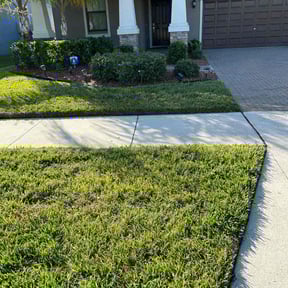 Bush Trimming by Frank's Landscaping reviewed on September 8, 2025