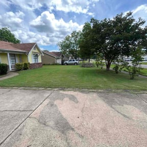 landscaping services by Bay Land & Trees Llc. reviewed on August 16, 2025