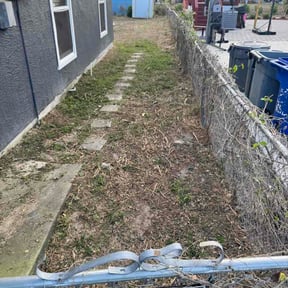 Leaf Removal by 843 Lawn Care reviewed on March 26, 2026