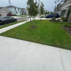 landscaping by CQC reviewed on August 16, 2025
