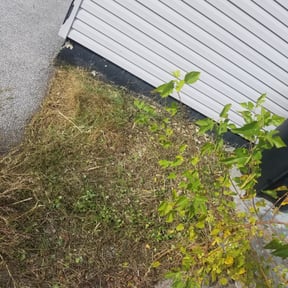 Flower Bed Weeding by Y and J Landscaping reviewed on August 19, 2025