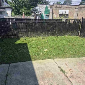 Bush Trimming by Naturalis Landscaping reviewed on August 27, 2026