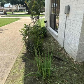 Bush Trimming by 3J’s Lawn Care and Gardening Service reviewed on August 16, 2025