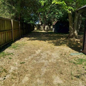 Bush Trimming by Kumbayah Garden reviewed on August 20, 2025