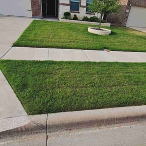 yard work by Turfbound Landscape, LLC reviewed on August 20, 2025