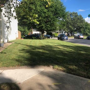 Leaf Removal by On Time Handyman Full Service reviewed on October 2, 2025