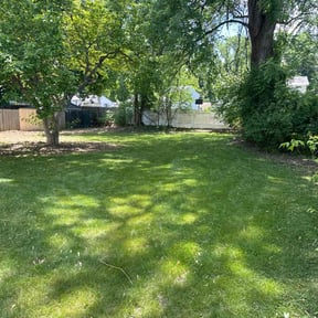 residential landscaping by Lizzy&#039;s lawn care reviewed on November 24, 2025