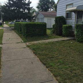 Bush Trimming by Eagle eye lawn care reviewed on August 17, 2025