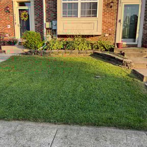 turf maintenance by The Landscapers reviewed on August 17, 2025