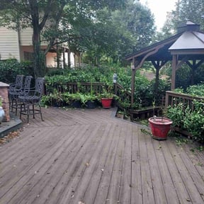 Bush Trimming by Black Creek Landscaping Service reviewed on August 21, 2025