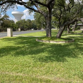 lawn service by AR Lawn Care. reviewed on June 13, 2025