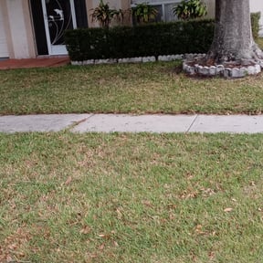 Leaf Removal by JD Landscaping reviewed on September 12, 2026