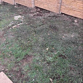 Leaf Removal by The lawn Service,LLC reviewed on October 21, 2025