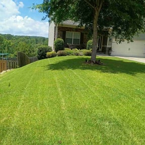 grass maintenance by All complete enterprise reviewed on August 17, 2025