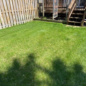 turf maintenance by J&N landscaping reviewed on June 18, 2025