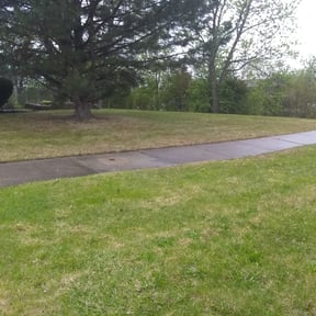 Leaf Removal by Diamond Edge Kuttz reviewed on September 23, 2025