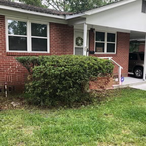 Bush Trimming by Toko Lawn Services reviewed on August 15, 2025