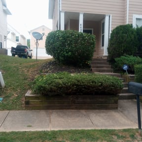 Bush Trimming by Victories Exterior Cleaning llc reviewed on August 20, 2025