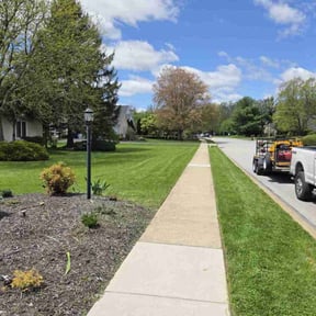 turf care by Green Leaf Lawn Service reviewed on August 18, 2025