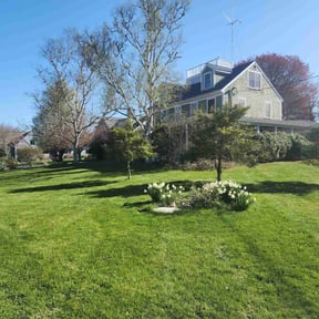 turf maintenance by Perry Family Maintenance LLC reviewed on August 21, 2025