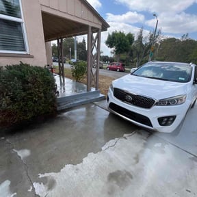 Bush Trimming by Palmetto Commercial and Residential Solutions reviewed on June 12, 2020