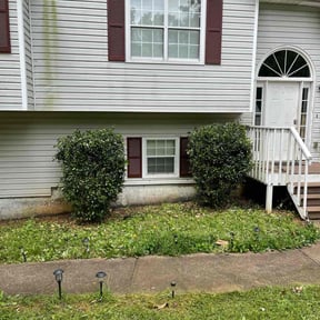 Bush Trimming by Lawn&Order reviewed on August 18, 2025