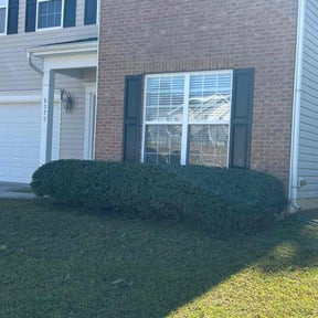 Bush Trimming by Evergreen Lawn Care reviewed on October 23, 2025