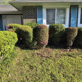 Bush Trimming by Texas Best Lawn and Farm reviewed on August 15, 2025