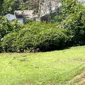 Bush Trimming by Tonys Landscaping LLC reviewed on September 12, 2024