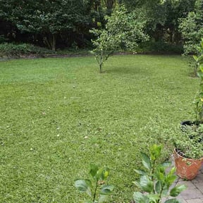 lawn care by Perry’s Landscaping LLC reviewed on May 8, 2024