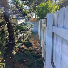 Bush Trimming by Yard Worx Lawn Service reviewed on August 19, 2025