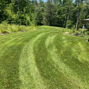 gardening service by Yard Dr. LLC reviewed on August 18, 2025