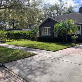 turf maintenance by Pro Lawn Cut reviewed on November 9, 2017