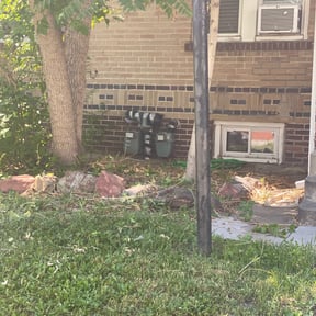 Bush Trimming by R&B Lawncare reviewed on August 21, 2025