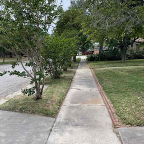 grass cutting by Guilexx Elite Landscape Maintenance LLC reviewed on October 31, 2023