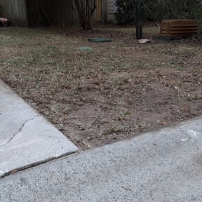 Leaf Removal by Supreme Home Services reviewed on September 13, 2025