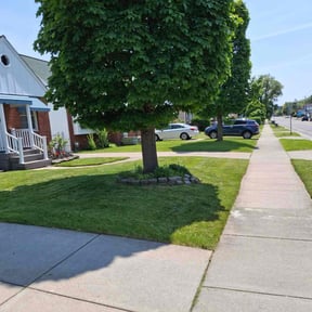 yard care by Diesel Dog Lawn Care LLC reviewed on August 19, 2025