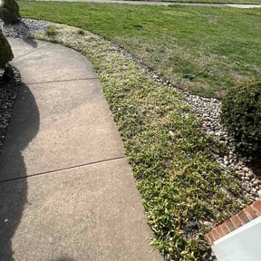 Flower Bed Weeding by jalapenolandscaping reviewed on March 20, 2026
