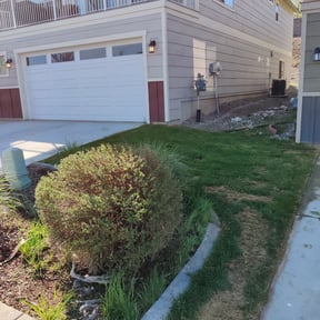 Bush Trimming by Rhoyalty Lawn Care, LLC reviewed on August 20, 2025