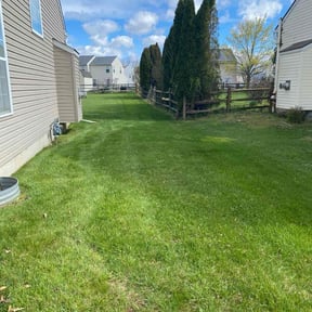 landscape maintenance by Crowder's lawn care reviewed on August 20, 2025