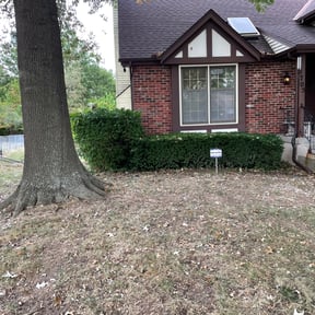 Bush Trimming by Knowledgeable Lawn Care reviewed on August 18, 2025