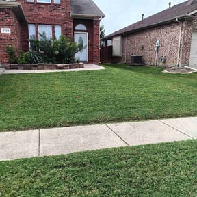landscaping by One Leaf reviewed on August 19, 2025