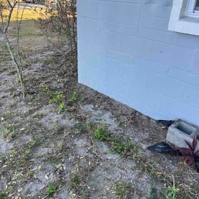 Leaf Removal by Kelly Lawn Care reviewed on July 30, 2026