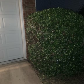 Bush Trimming by Blalock property solutions reviewed on August 21, 2025