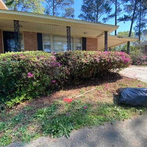 Bush Trimming by CCs lawncare reviewed on March 26, 2026