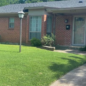 turf care by EECO SERVICES LLC reviewed on August 16, 2025